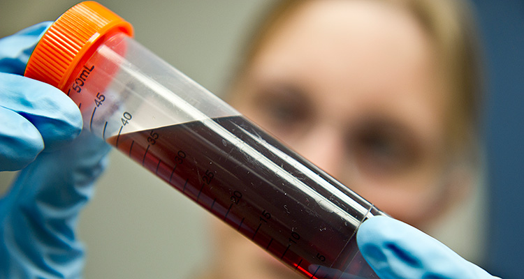 20404 A scientist looking at a small tube of oil closely.