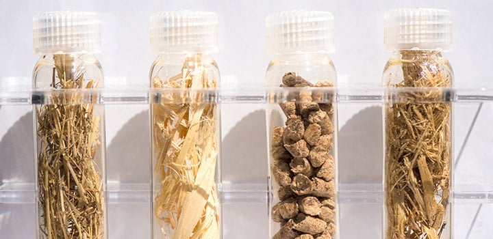 Four clear glass vials with plastic stoppers containing brown, dried plant materials.