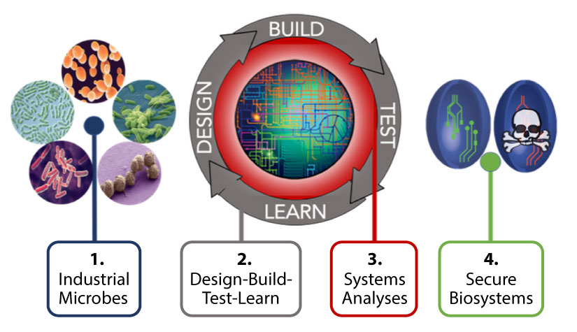 biosystems-biocatalysis-825w A circular flowchart that says Build, Test, Learn, Design, and below it: 1. Industrial Microbes, 2. Design-Build-Test-Learn, 3. Systems Analyses, 4. Secure Biosystems.