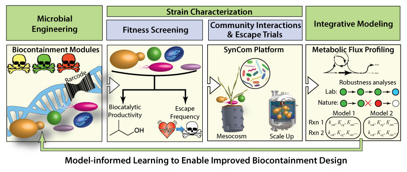 biosystems-biocontainment-horiz-825w Illustration of Model-Informed Learning to Enable Improved Biocontainment Design showing microbial engineering with biocontainment modules