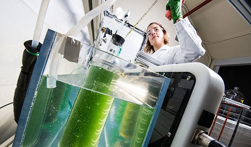 hp-fuels-chemicals-60842 One researcher working on equipment in a lab.