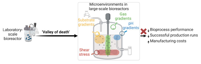 Diagram of a lab-scale bioreactor with an arrow labeled “valley of death” pointing to complex gradients—substrate, gas, pH, shear—in large-scale reactors. A red X marks a second arrow pointing to performance, production success, and manufacturing costs.