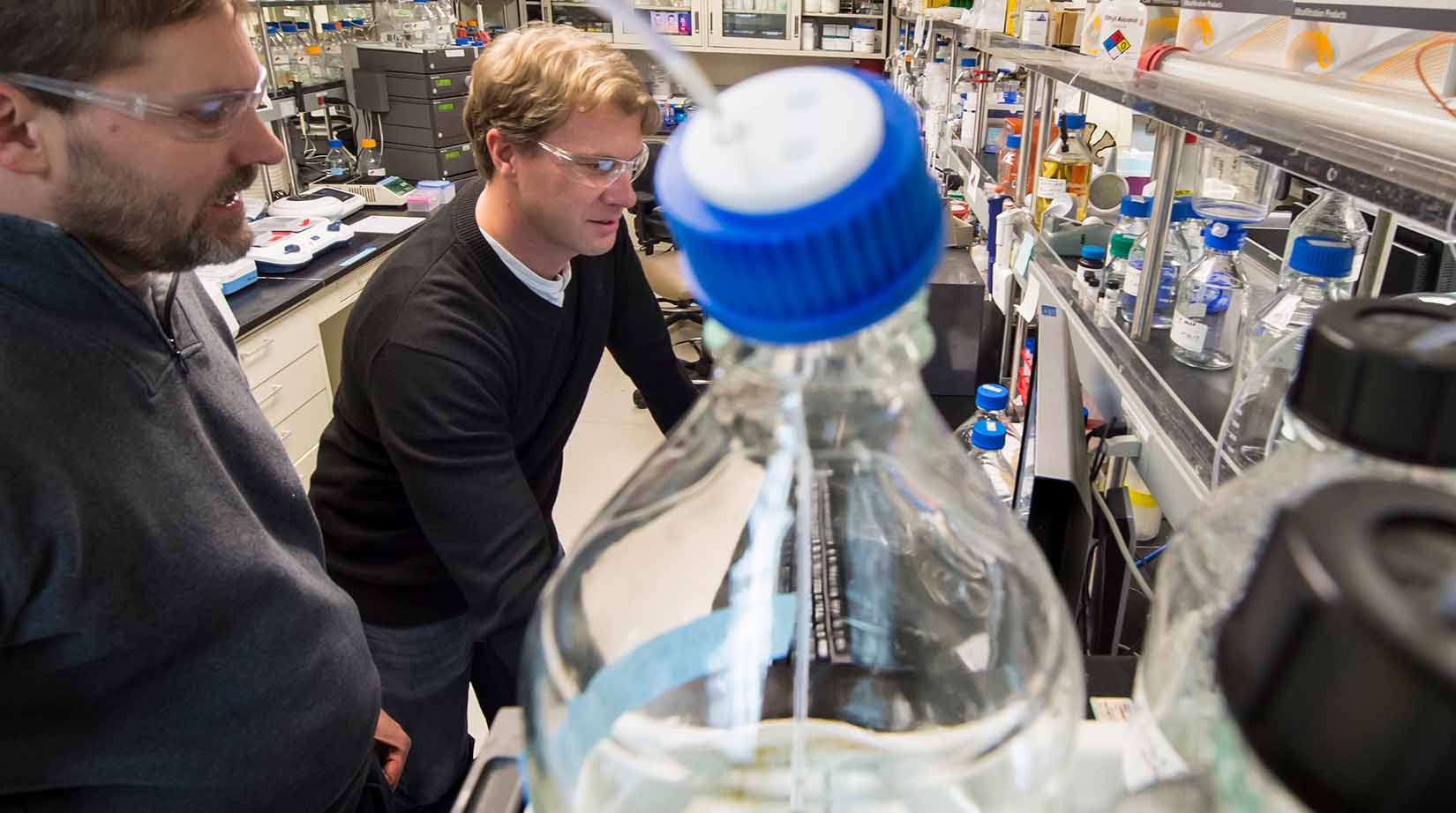 metabolic-processes-49981 Two researchers in a laboratory with shelves of glass vials.
