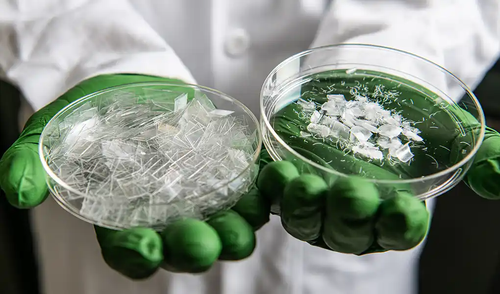 A researcher holds raw samples of dried PET plastic substrates.