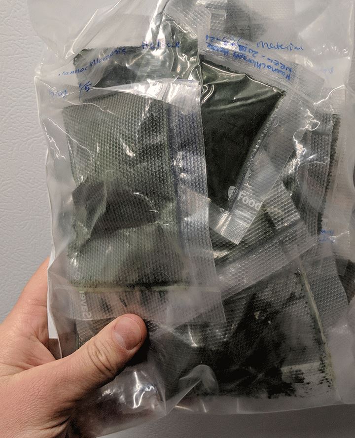 photo-112035-microalgae Human hand holding clear plastic packages of freeze-dried algae.