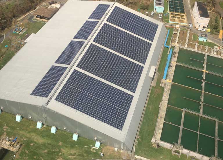 Guaynabo plant