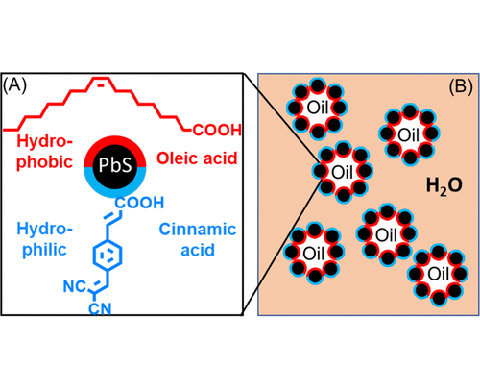 an2c00341-0001 Illustrations of the use of PbS QDs capped with oleate–cinnamate Janus-ligand shells to construct oil-in-water Pickering emulsions