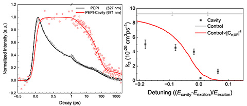 controlling-exciton Left: coupling to a cavity leads to greatly increased excited state lifetimes Right: The decreased second order lifetime for exciton/exciton recombination is explained by the reduced time the exciton polariton spends as an exciton.