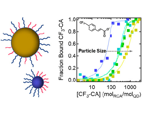 jp1c06713-0008 Chart showing particle size measurements of fraction bound CF3-CA
