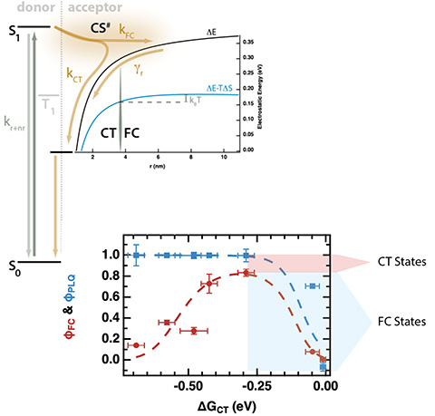 t1-excitons-space Proposed kinetic model showing processes of charge transfer to localized CT states vs. FC states. Photoinduced free electron yield (φFC) and PLQ yield (φPLQ) as a function of driving force.