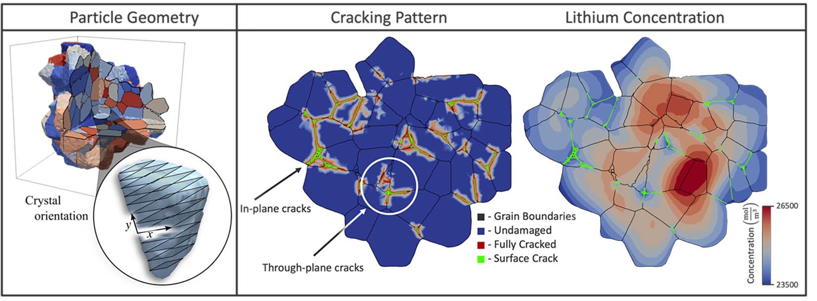cathode-cracking-model-bdy Simulations of Li-ion showing the particle geometry, including crystal orientation, cracking pattern of in-plane cracks and through-plane cracks, and lithium concentration.