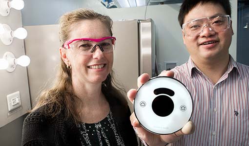 researchers
