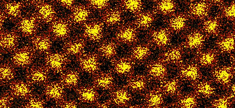 hp_analytical_microscopy An image of interconnecting yellow and red particles
