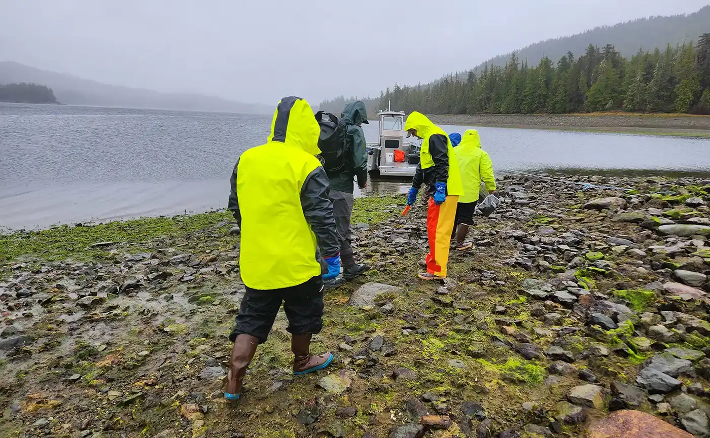 A team of researchers walks along a shoreline in Alaska.