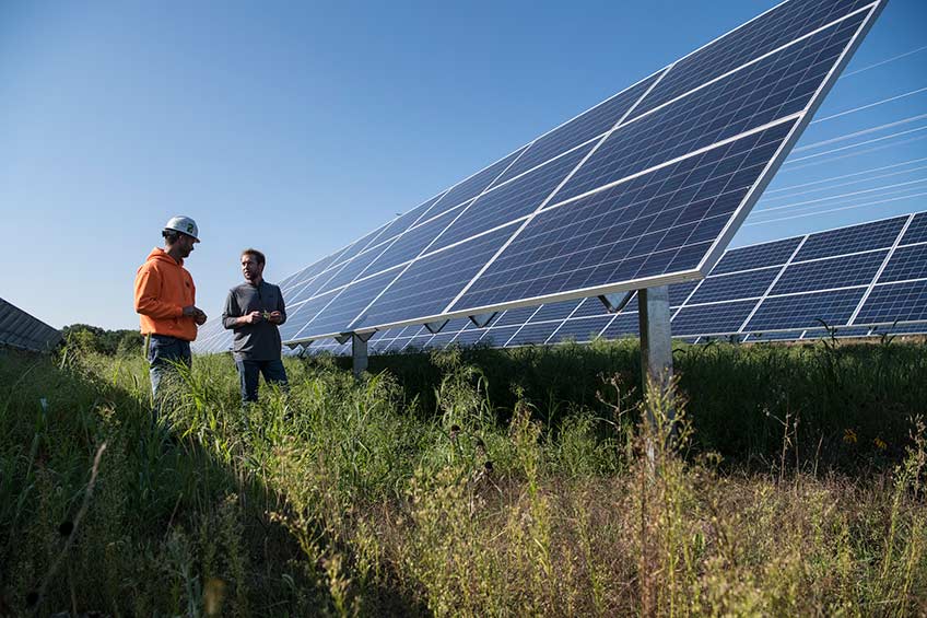 Continue reading about Beneath Solar Panels, the Seeds of Opportunity Sprout