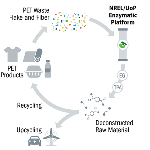A circular graphic shows the enzymatic platform process, with arrows indicating how PET is deconstructed into raw materials that can be recycled and upcycled.