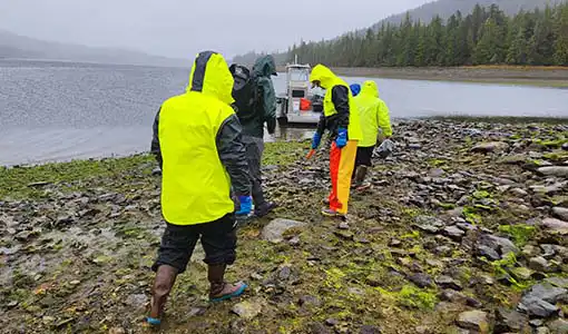 Five people walking on a rocky shoreline covered in algae with a boat in a body of water in the background.