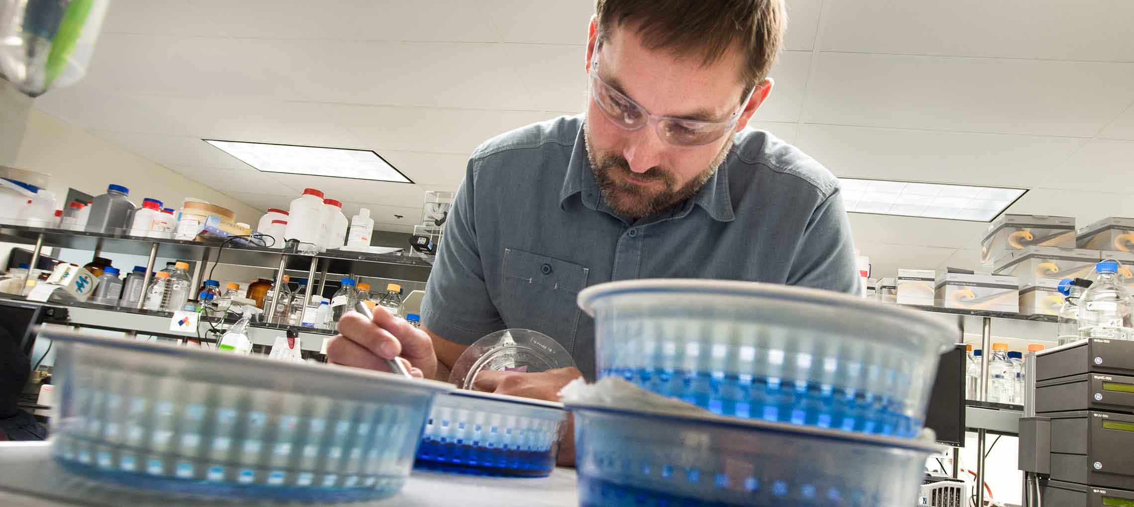 Continue reading about NREL's CelA Catalyzes Plant Cell Walls Faster