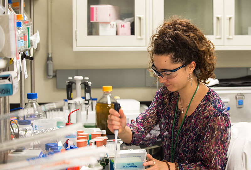 A researcher in the laboratory performs experiments on cyanobacteria.