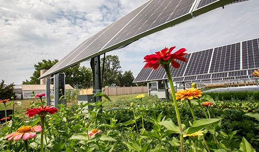 Continue reading about Sharing the Sun Market Report Details Expansive Growth, Recent Trends in Community Solar