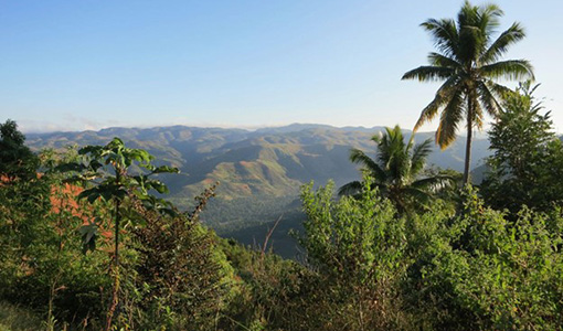 Continue reading about USAID-NREL Partnership Works To Bolster Haiti's Energy Resilience