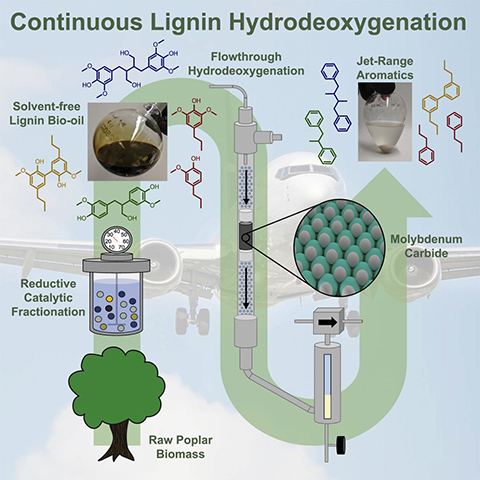 20250312-with-a-technology-license-from-mit-nrel-comstock-fuels-produce-jet-fuel-from-lignin-graphic An illustration of the hydrodeoxygenation process.