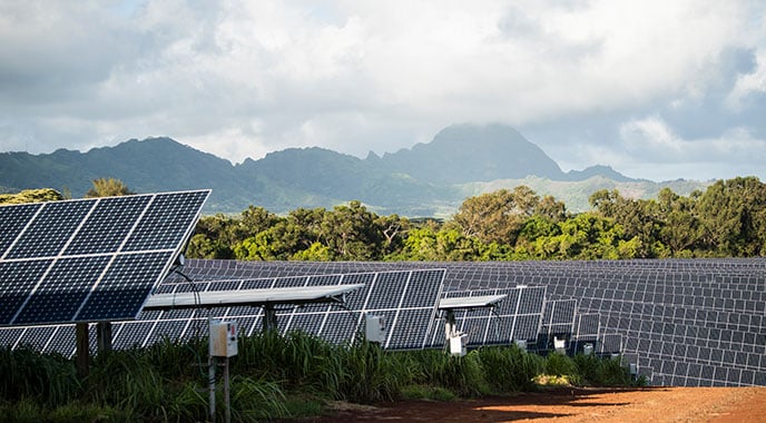 58016-feature Rows of solar panels