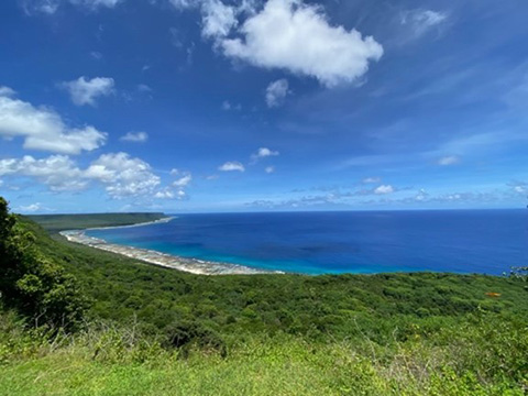 guam-2 Green vegetation in front of a coastline and the ocean.