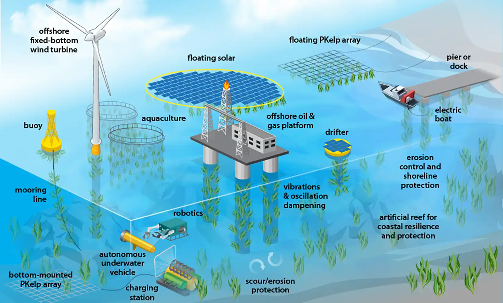 underwater-kelp-seagrass-illustration Illustration of potential device configurations and locations where PKelp could be deployed including under offshore fixed-bottom wind turbines, floating solar arrays, offshore oil and gas platforms, buoys, drifters, or pier or docks.