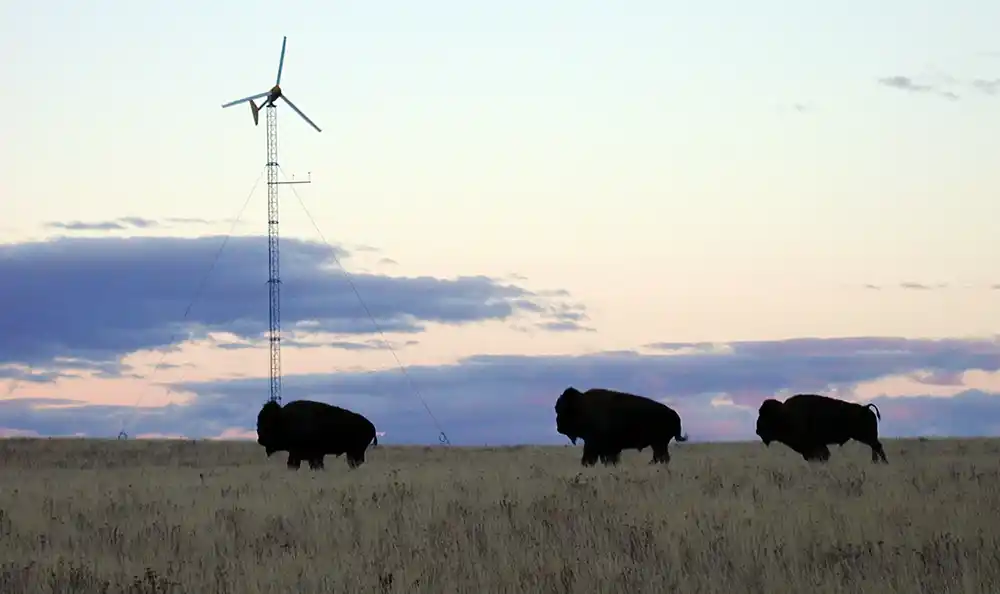 wind-energy-basics-13162