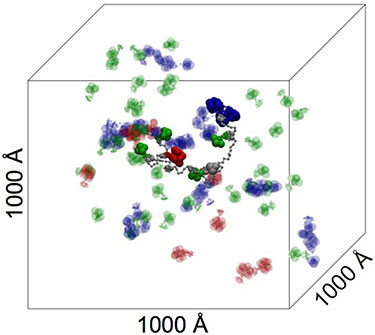 Illustration of a clear cube with glob clusters of green, blue, red, and grey inside, with a grey squiggly line attached to several of the colored clusters. The sides of the cube are labeled 1000 A.