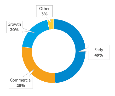 A pie  chart showing Early: 49%, Commercial: 28%, Growth: 20% and Other: 3%