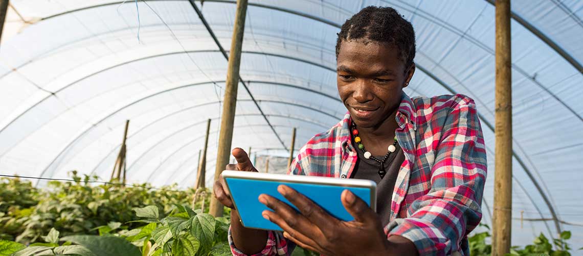 Photo of an African man in a greenhouse using a iPad.