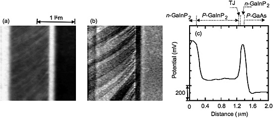 Left: Scanning kelvin probe microscopy image showing vertical bands of gray, white, and black that represent measured electrical potential in a cross section of a gallium indium phosphide/gallium arsenide tandem device sample. Center: Atomic force microscopy image showing topography of the cross section of the gallium indium phosphide/gallium arsenide tandem device sample represented at left but in more detail; image appears as vertical bands of gray with light and dark diagonally striped areas at left, then a narrow black band, and then a lighter gray band. Right: Graph showing the averaged potential profile at top, tunneling, and bottom junctions of the gallium indium phosphide/gallium arsenide tandem device sample shown in images at left.