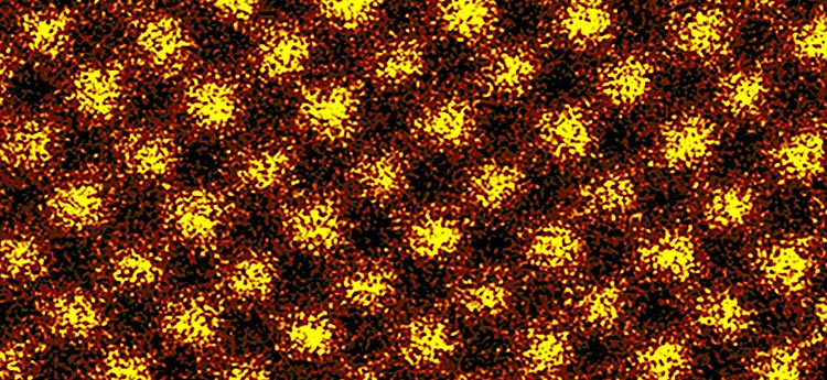 An image of interconnecting yellow and red particles