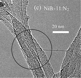 Microphoto shows carbon nanotubes at high magnification.