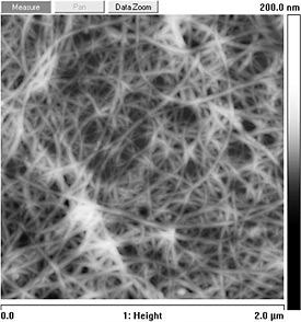 High-resolution image of sample carbon nanotube; the image was obtained using atomic force microscopy and features dense, dendritic tangles of white and gray on a black background. Several of the tubes are entangled.