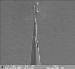 SEM image of sharpened probe sample tip.