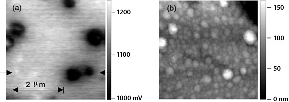 Left: Scanning kelvin probe microscopy image showing electrical potential, as indicated in scattered round dark areas among lighter areas, in the p-layer of a hydrogen-doped amorphous silicon device sample. Right: Atomic force microscopy topographic image of a hydrogen-doped nanocrystalline amorphous silicon device; image contains bright white rounded shapes scattered among smaller, rounded gray shapes.