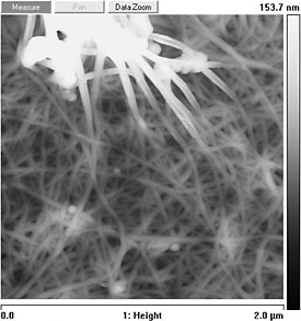 A second high-resolution image of carbon nanotubes.