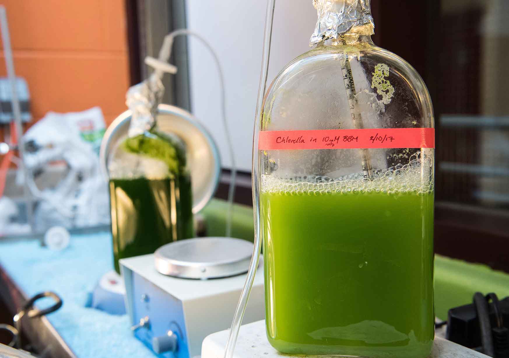 Photo shows a large bottle filled with a green liquid.