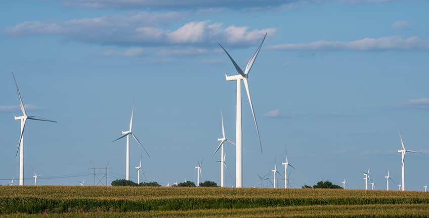 Photo shows rows of wind turbines.