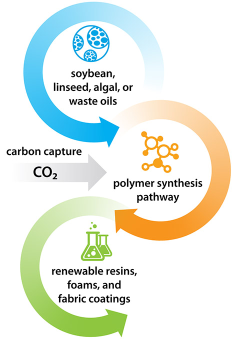 An illustration of a renewable, non-toxic process to produce polyurethane