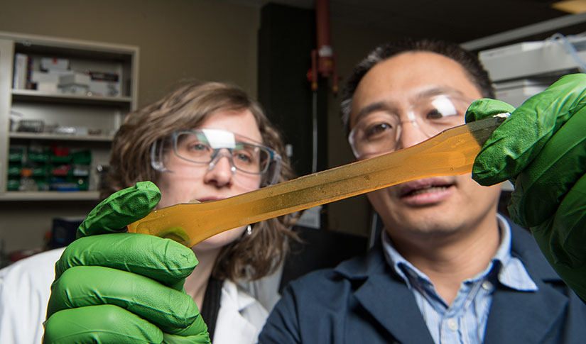 Two researchers examine a strip of bio-based polyurethane resin