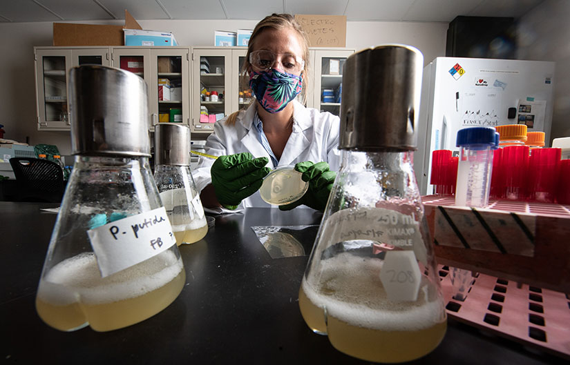 A researcher working with scientific flasks and equipment at a lab bench