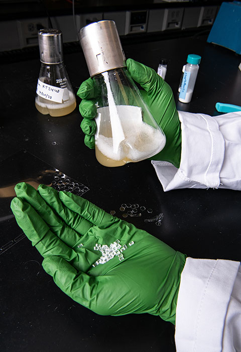 A researcher's hands holding small pellets of plastic and a flask of bacteria