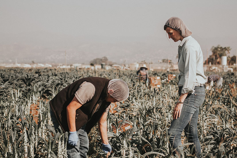 Photo of two women working in a farm field.