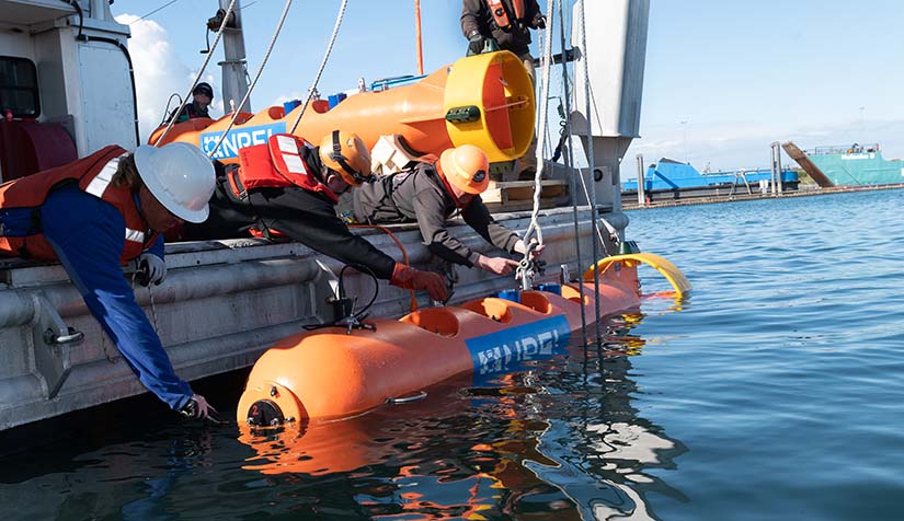 People holding a buoy in the water