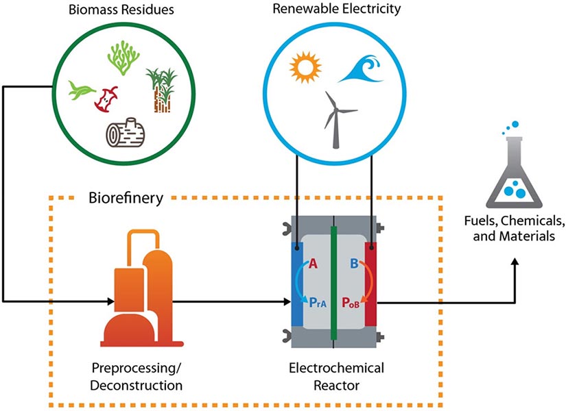 A visual demonstrating how biomass residues and renewable electricity might feed into a biorefinery that uses preprocessing/deconstruction and an electrochemical reactor to produce fuels, chemicals, and materials