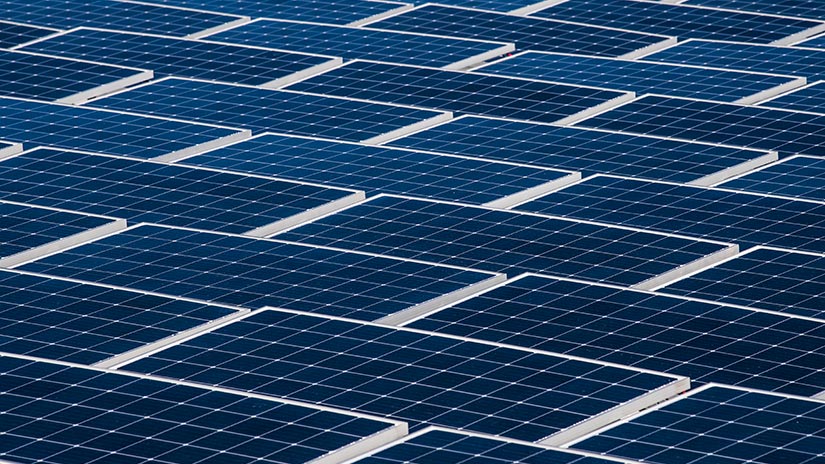 Photo of many solar panels